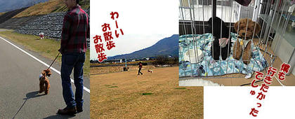ai0327-2.jpg