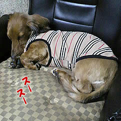 ai0405-2.jpg