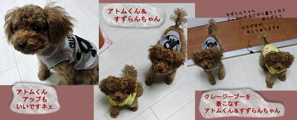 ai0411-3.jpg