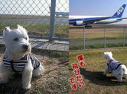 ai0413-2.jpg