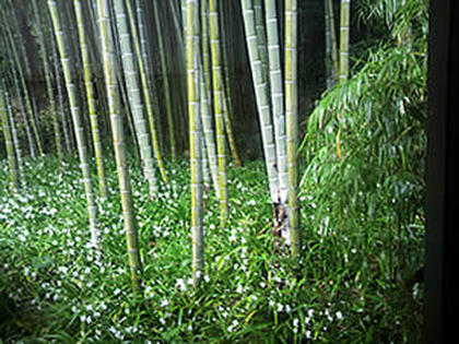ai0421-1.jpg
