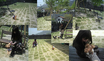 ai0504-1.jpg