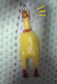 ai0514-2.jpg