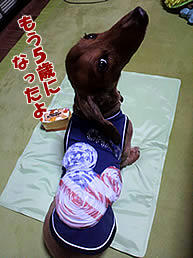 ai0630-1.jpg
