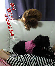 ai0723-1.jpg