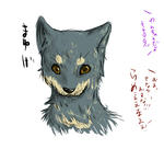 もっふもふにしてやんよ！