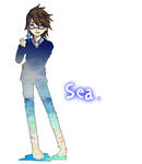 海