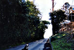 img043.jpg