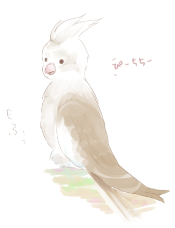 こんなん！
