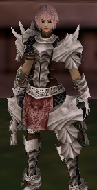 20100425211110.png