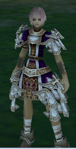 20100527202817.png