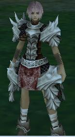 20100528205539.png