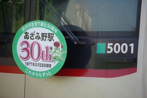拡大写真