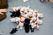20090307_18.jpg