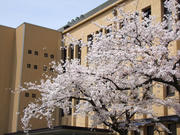 20090405_31.jpg