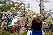 20090418_10.jpg
