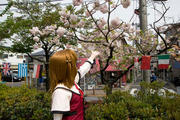 20090418_03.jpg