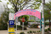 20090418_01.jpg