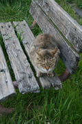 20100403_014.JPG