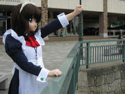 20101017_06.JPG