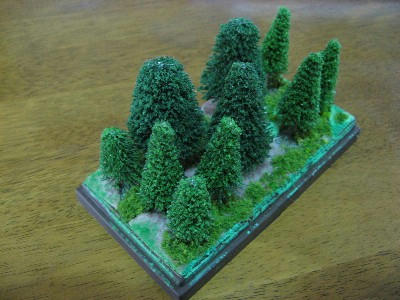 20080205_07.JPG