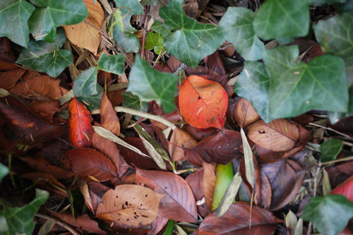 P1010915.jpg