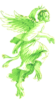 toriningen.png