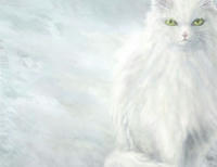 whiteCat-in-white.jpg