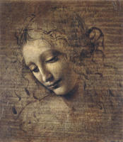 Leonardo-LaScapigliata.jpg