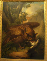 wenzerPeterOwl.jpg