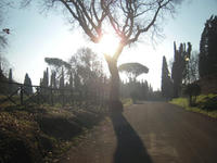 VillaAdriana-morning.jpg