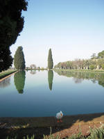 VillaAdriana-ahiru.jpg