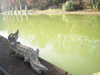 VillaAdriana-canopus1.jpg