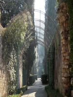 VilladEste-cypresses.jpg