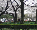 d277cbf3jpeg