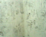 537caa12.jpg