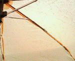 31c0af07.jpg