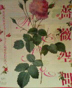 200805291804000.jpg