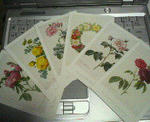 200806152322000.jpg