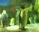 200807222349000.jpg