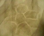 200808222300000.jpg