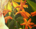 200809020059000.jpg