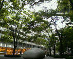 200809062216000.jpg