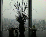 200809152319000.jpg