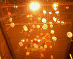 200809152326000.jpg