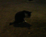 200809162229000.jpg