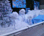 200811020041000.jpg