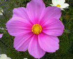 200811112254000.jpg