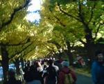 20081122145022.jpg