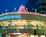 20081122165132.jpg
